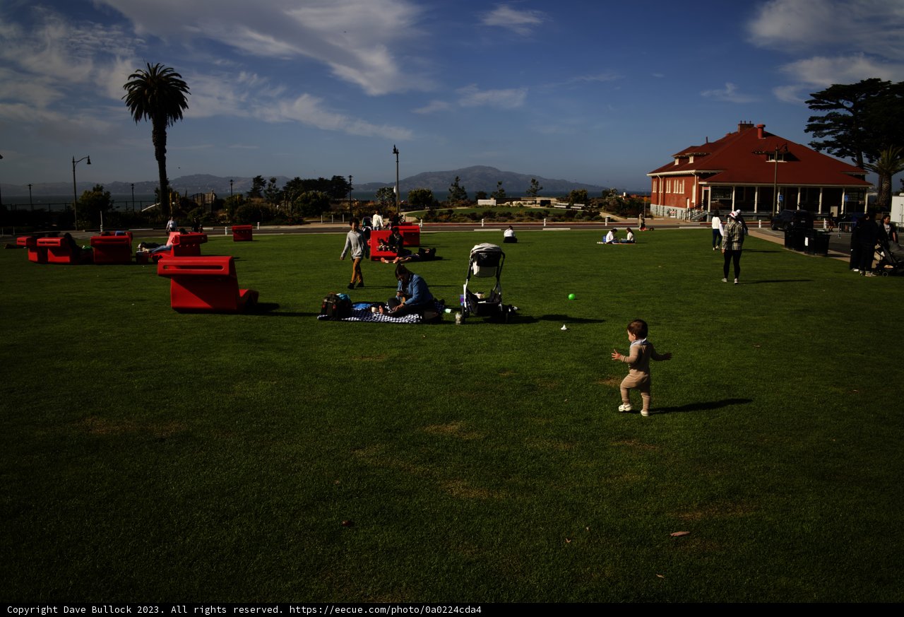 Summer Simplicity: The Joy of Play