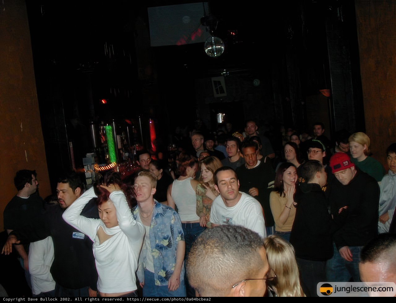 Nightlife Fun