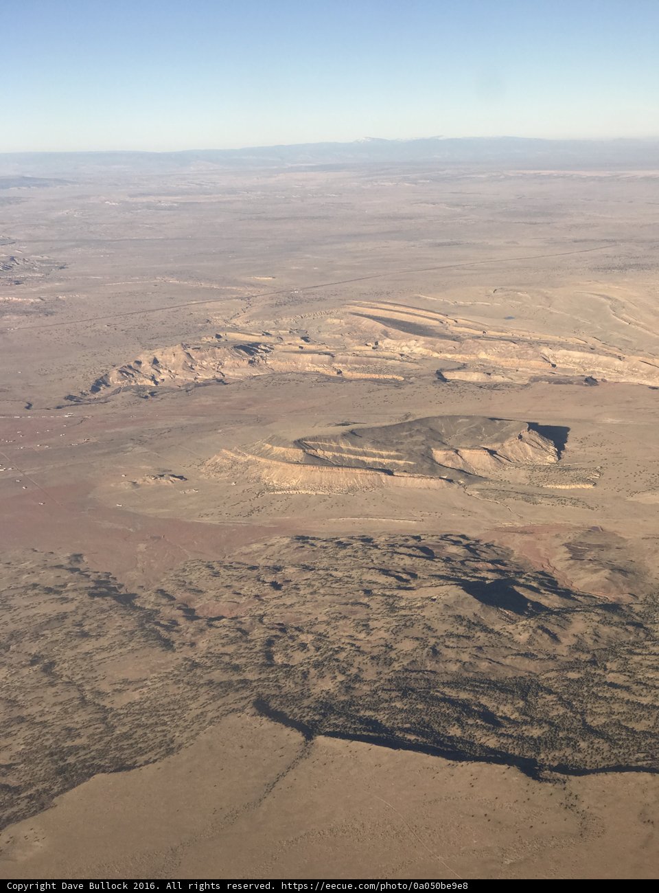 Desert Oasis from Above