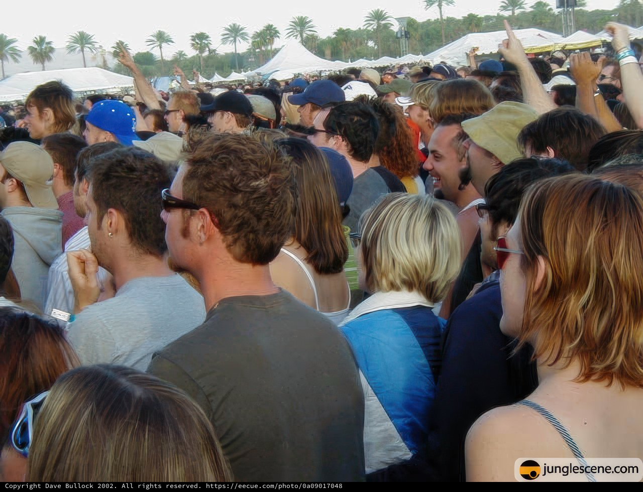 Coachella 2002 Music Festival Crowd