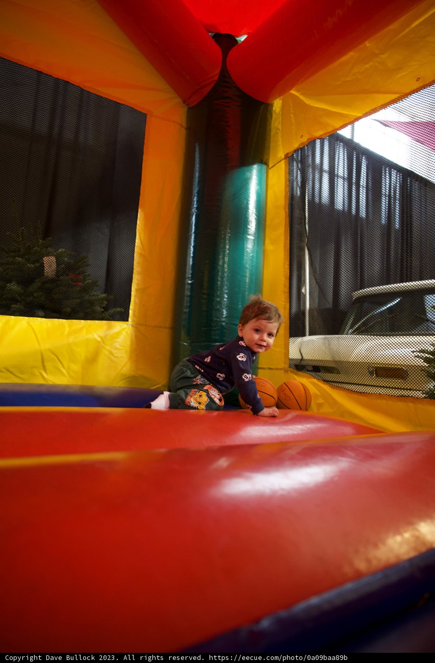 Wesley's Bouncy Castle Adventure