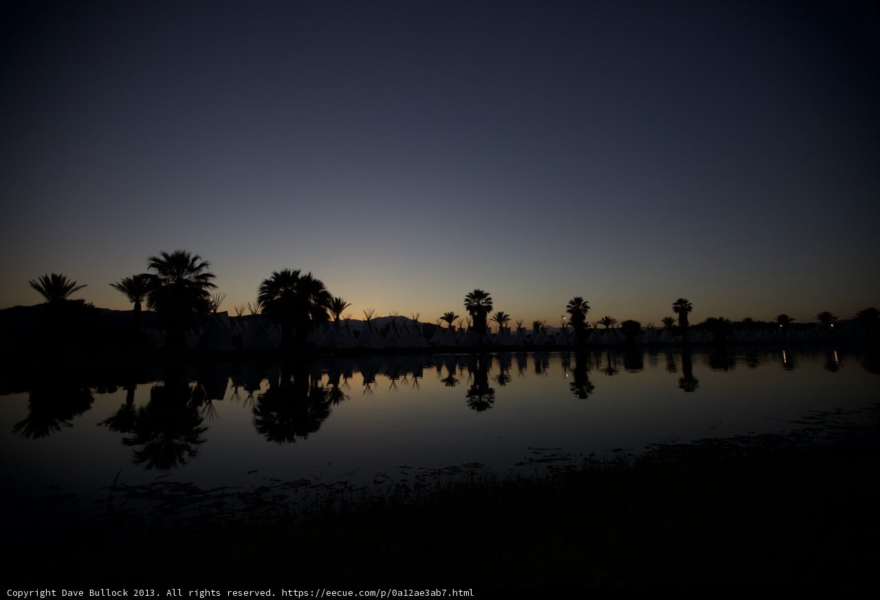 Sunset over the Palm Trees