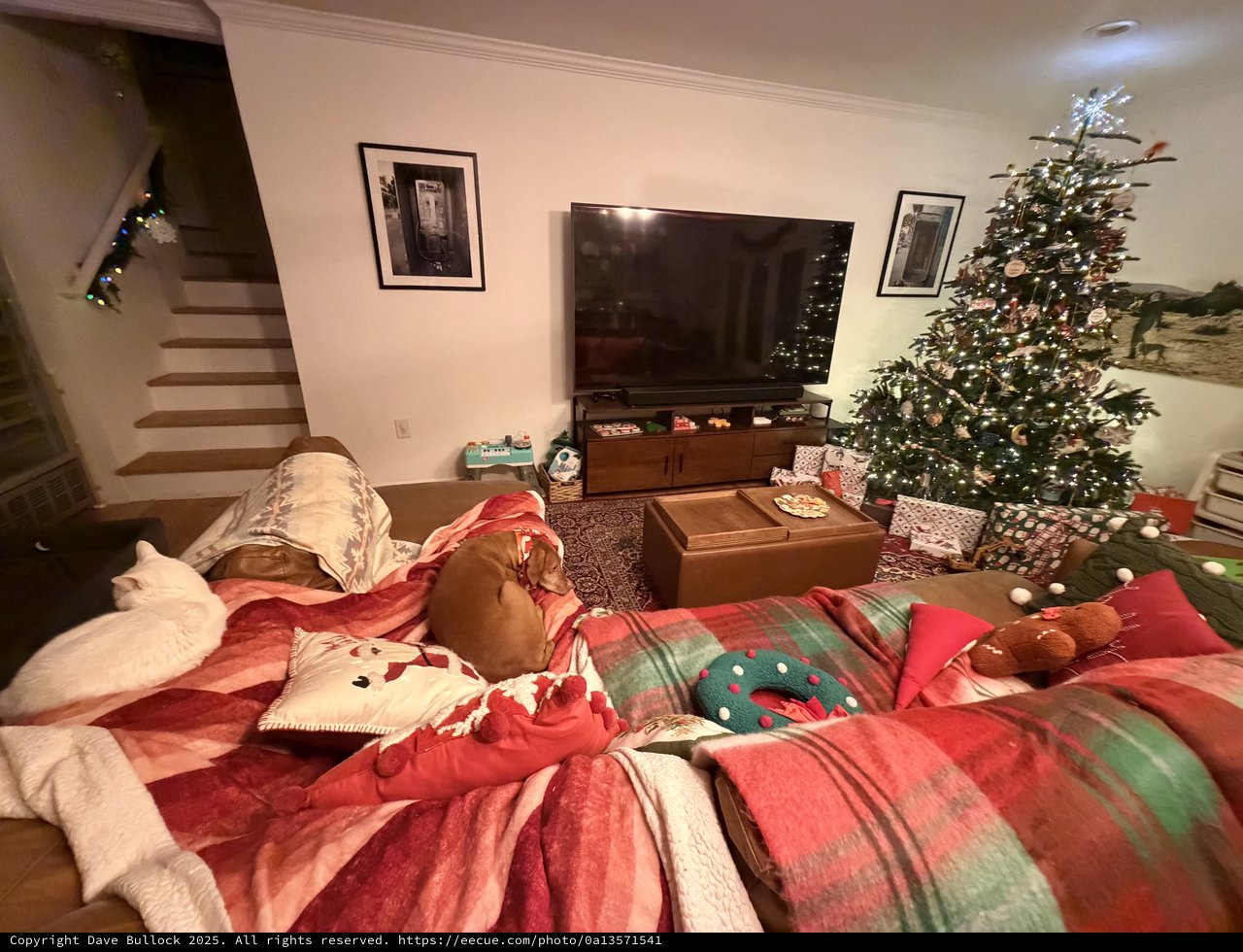 Overhead View of Festive Christmas Morning Gathering
