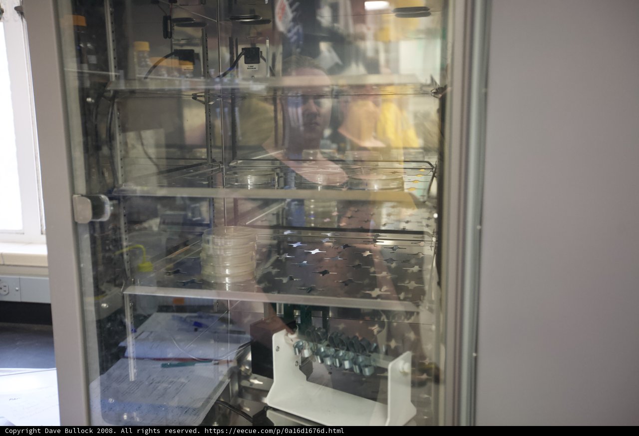 Reflections of a Lab Person