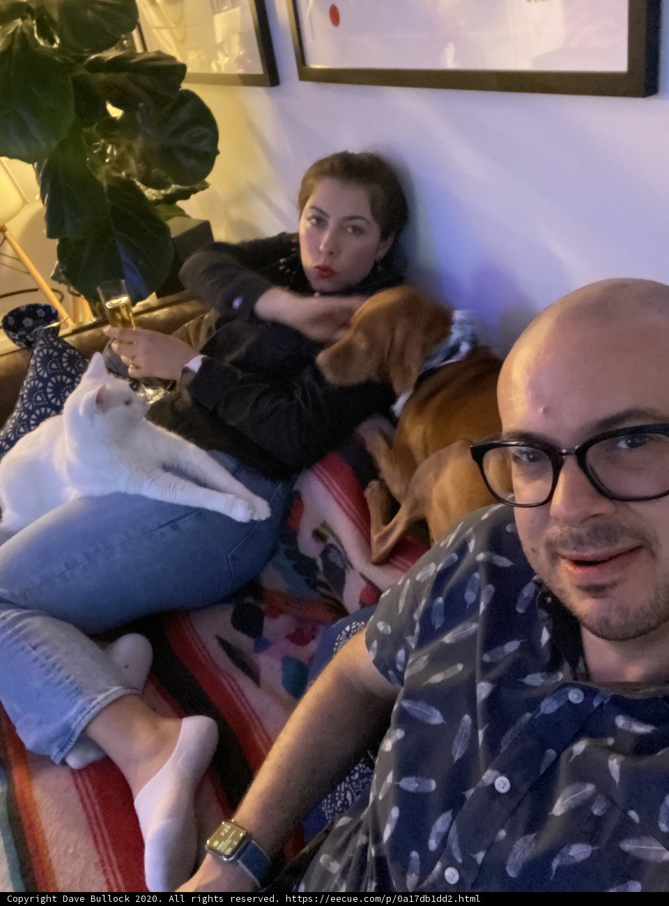 Cozy Afternoon with Furry Friend