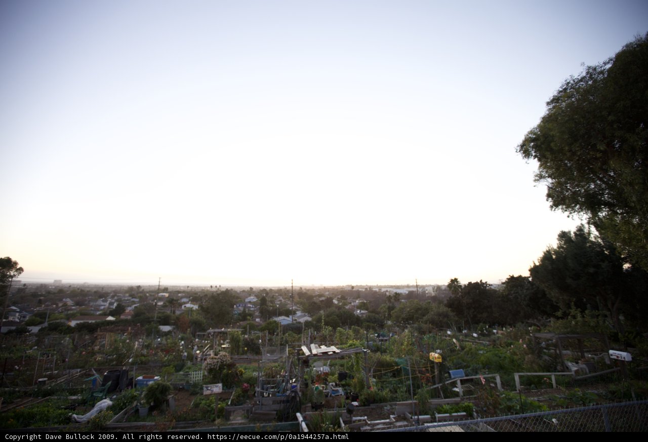 Overlooking the Cityscape