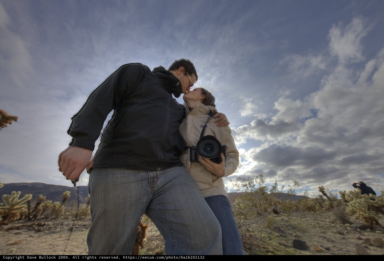 A Desert Kiss Among Joshua Tree Cacti