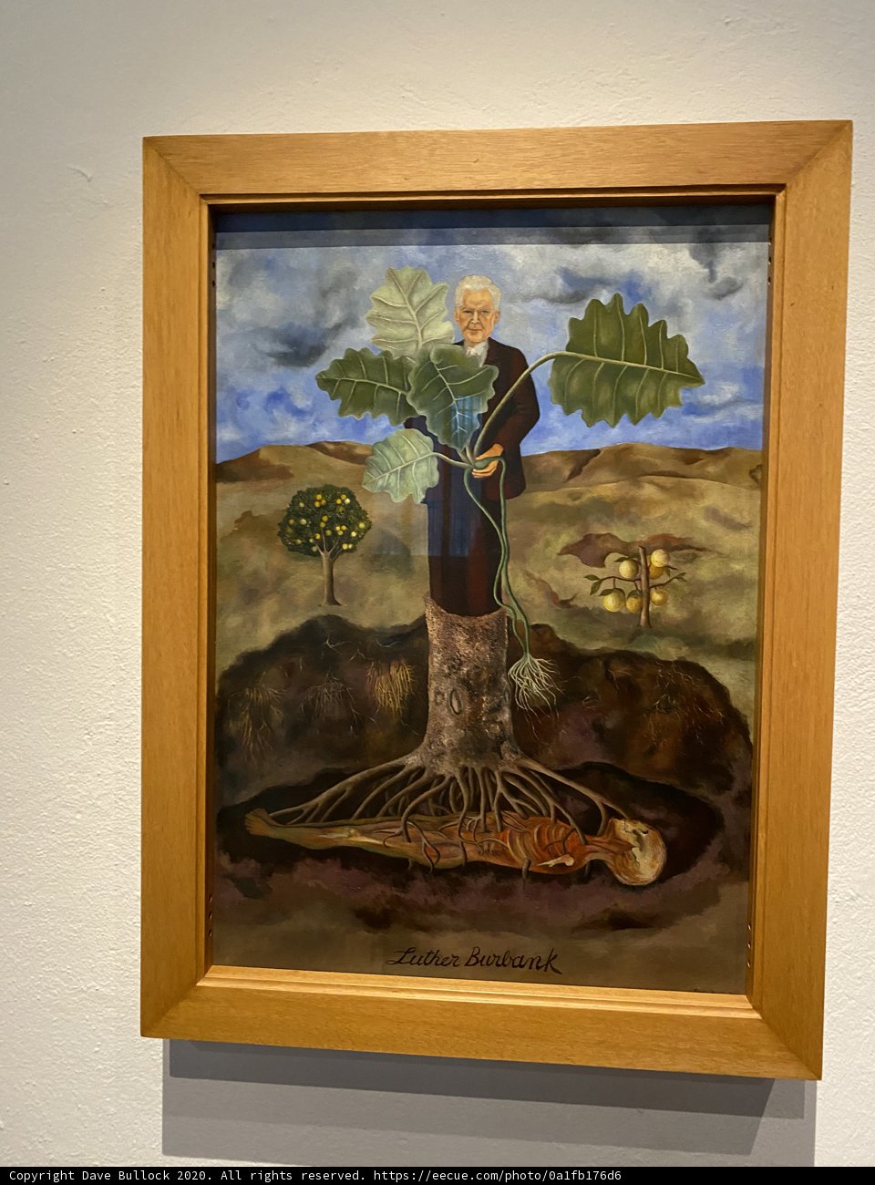 The Man and the Tree