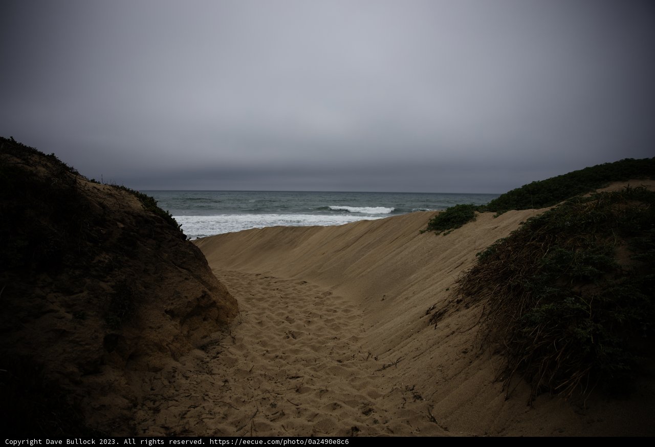Serene Sands of Pescadero Beach