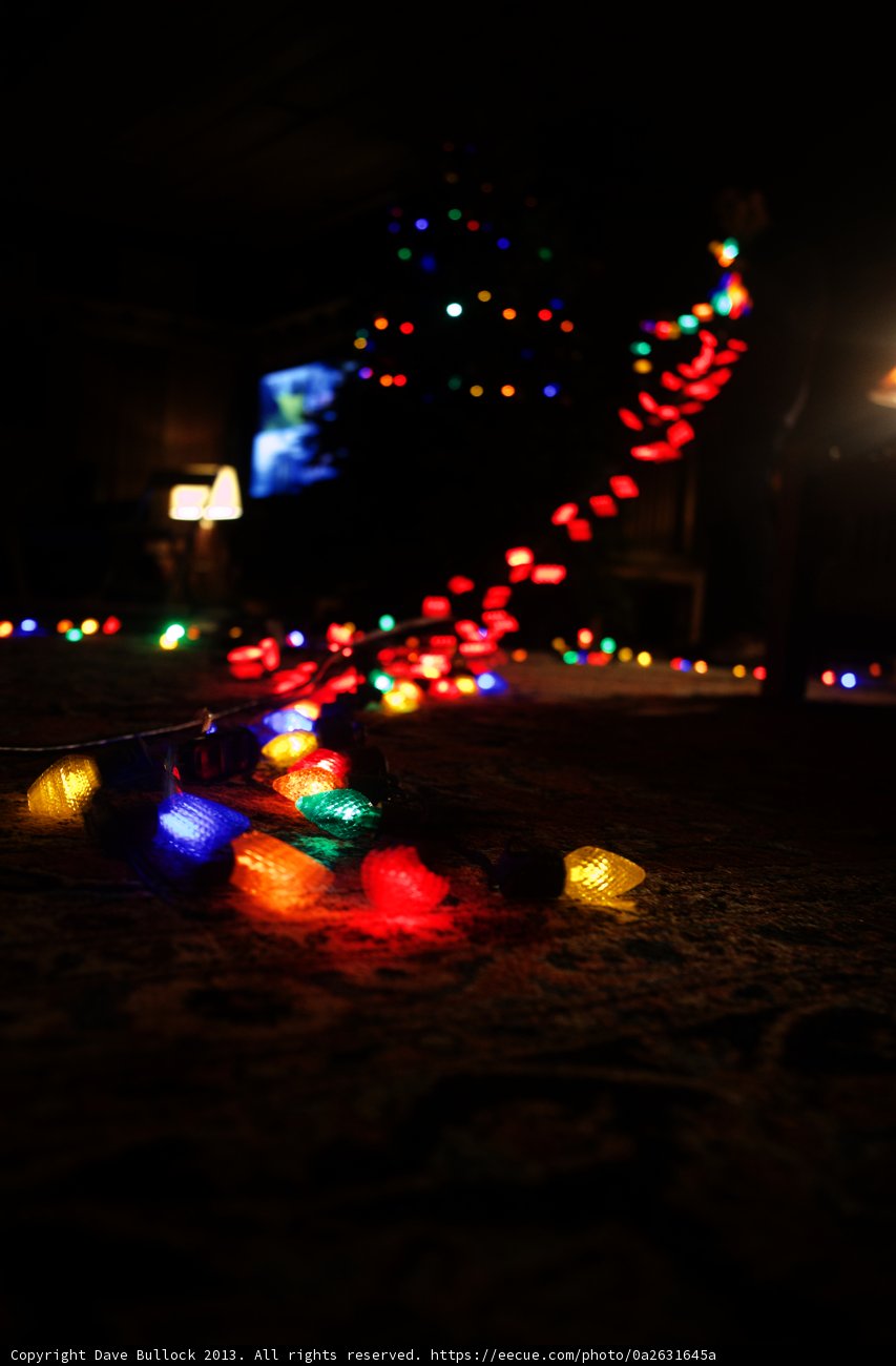 Illuminating Christmas Tree