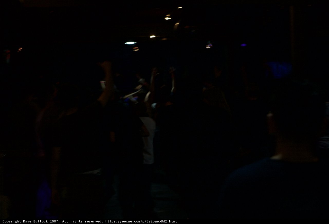 Silhouetted crowd surrendering to the night