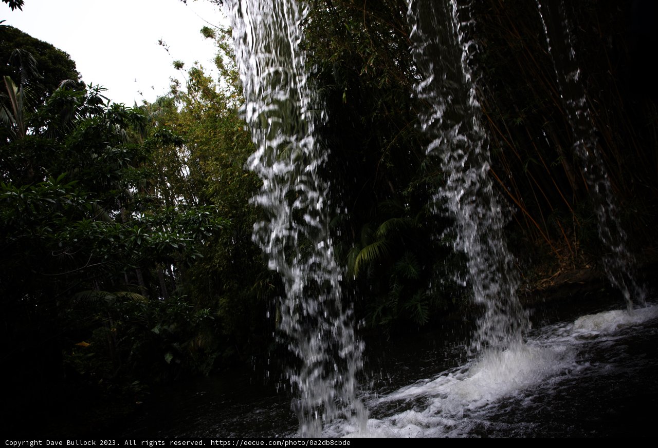 Jungle Waterfall Escape