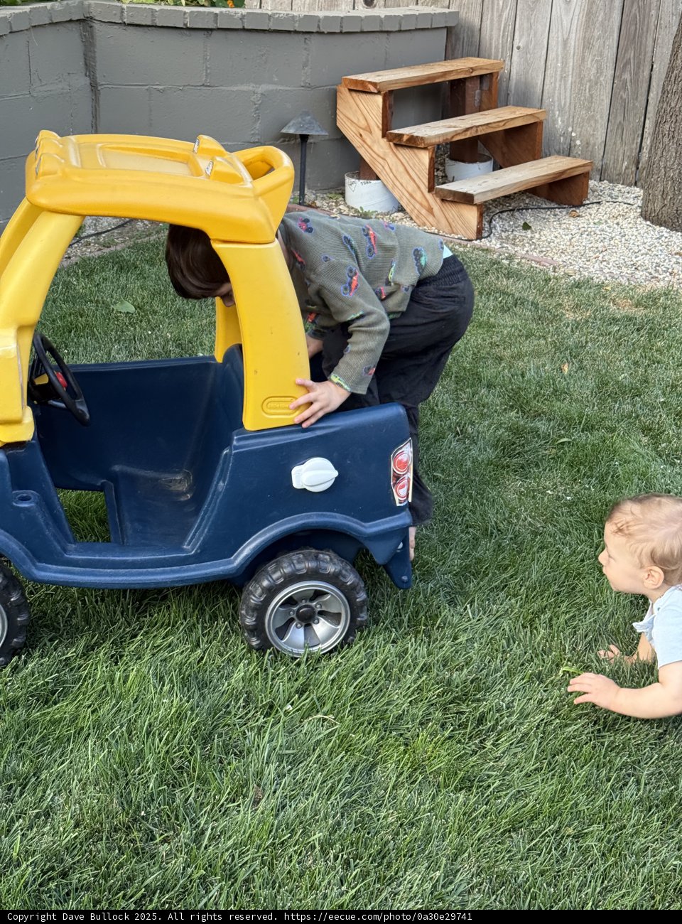 Backyard Adventures in Tiny Cars