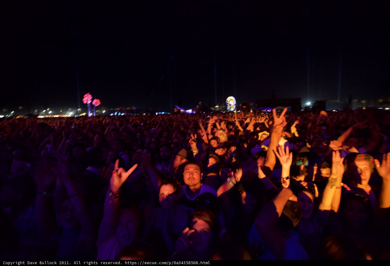 Coachella Goes Wild