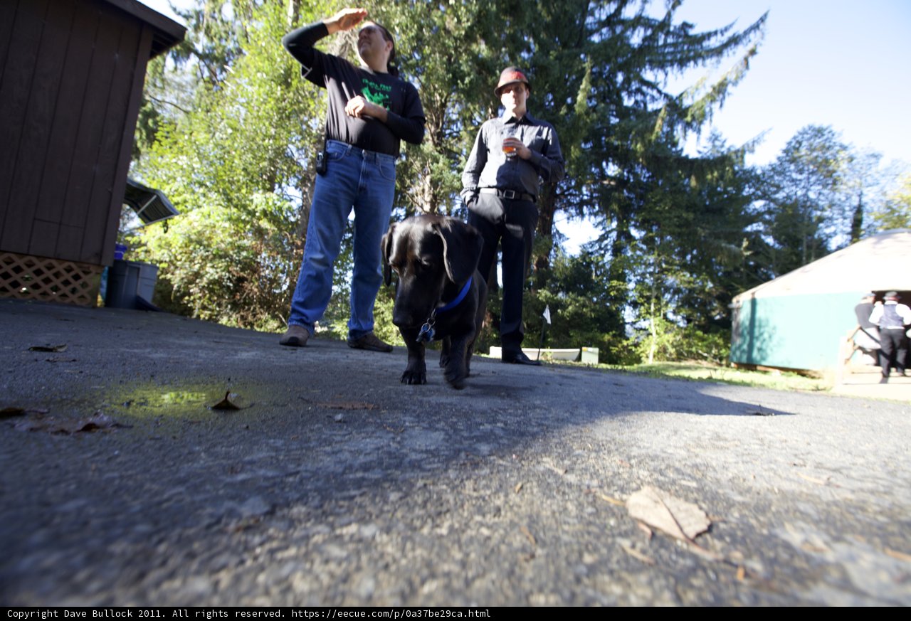 The Wickstrom's Four-Legged Friend