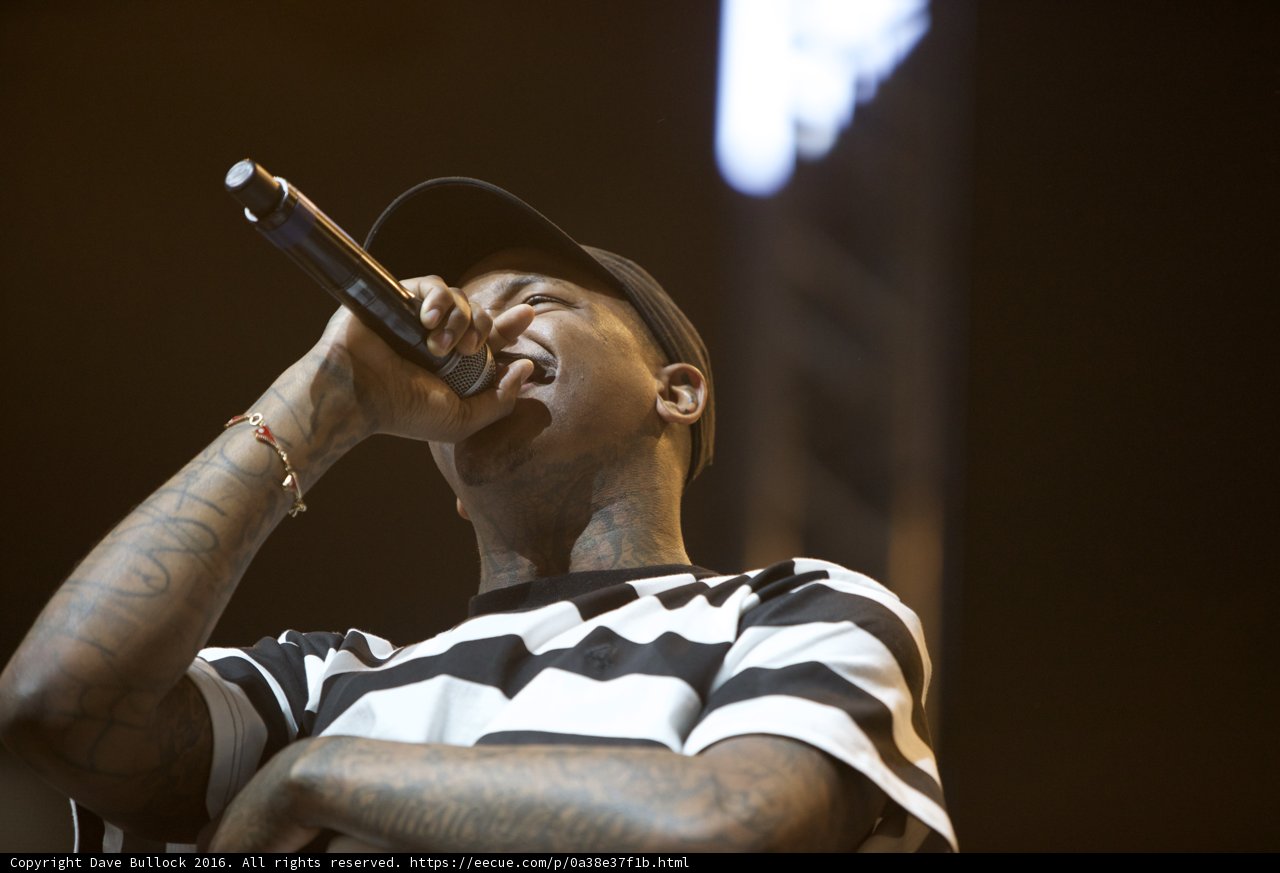 The Inked Crooner