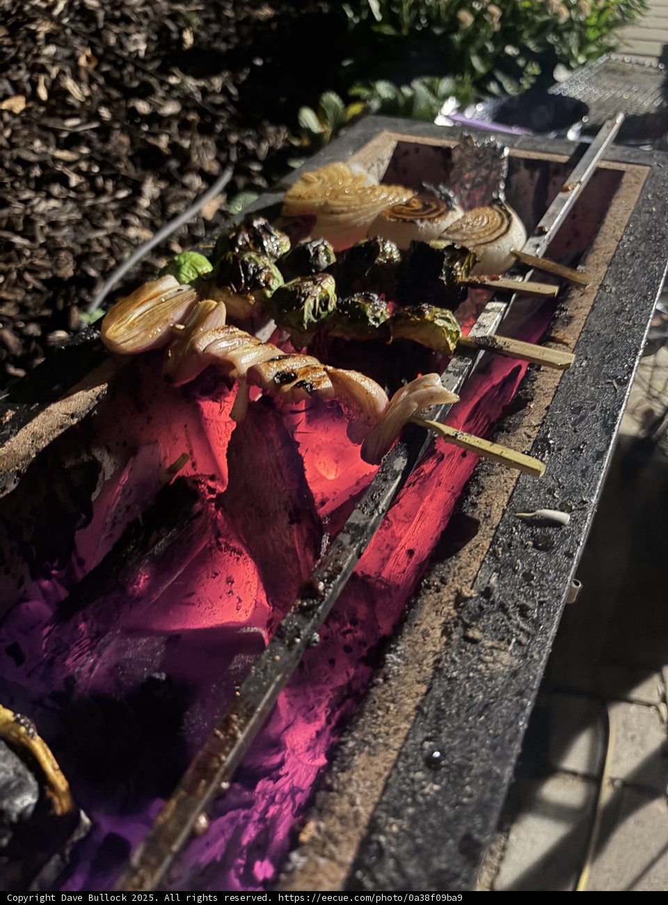Glowing Ember Grill