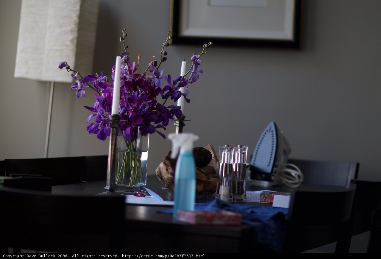 Contrasting Vases