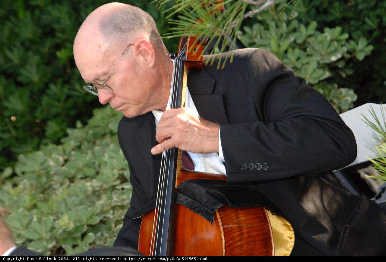 Cello Serenade