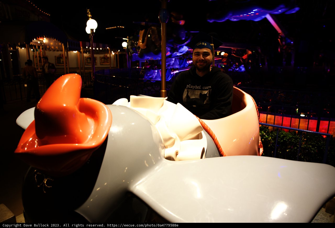 Thrilling Night at the Theme Park