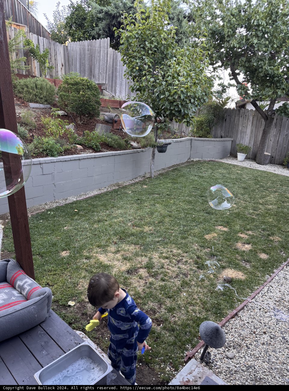 Bubbles of Summer