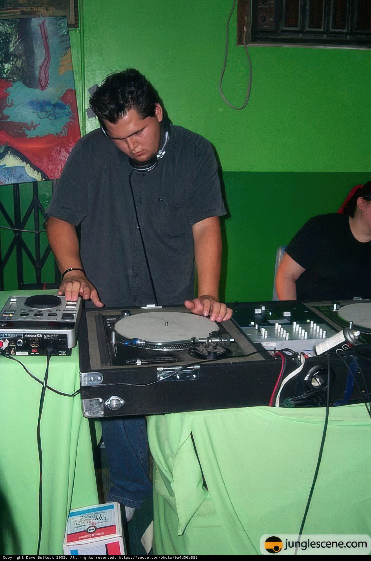DJ in Action