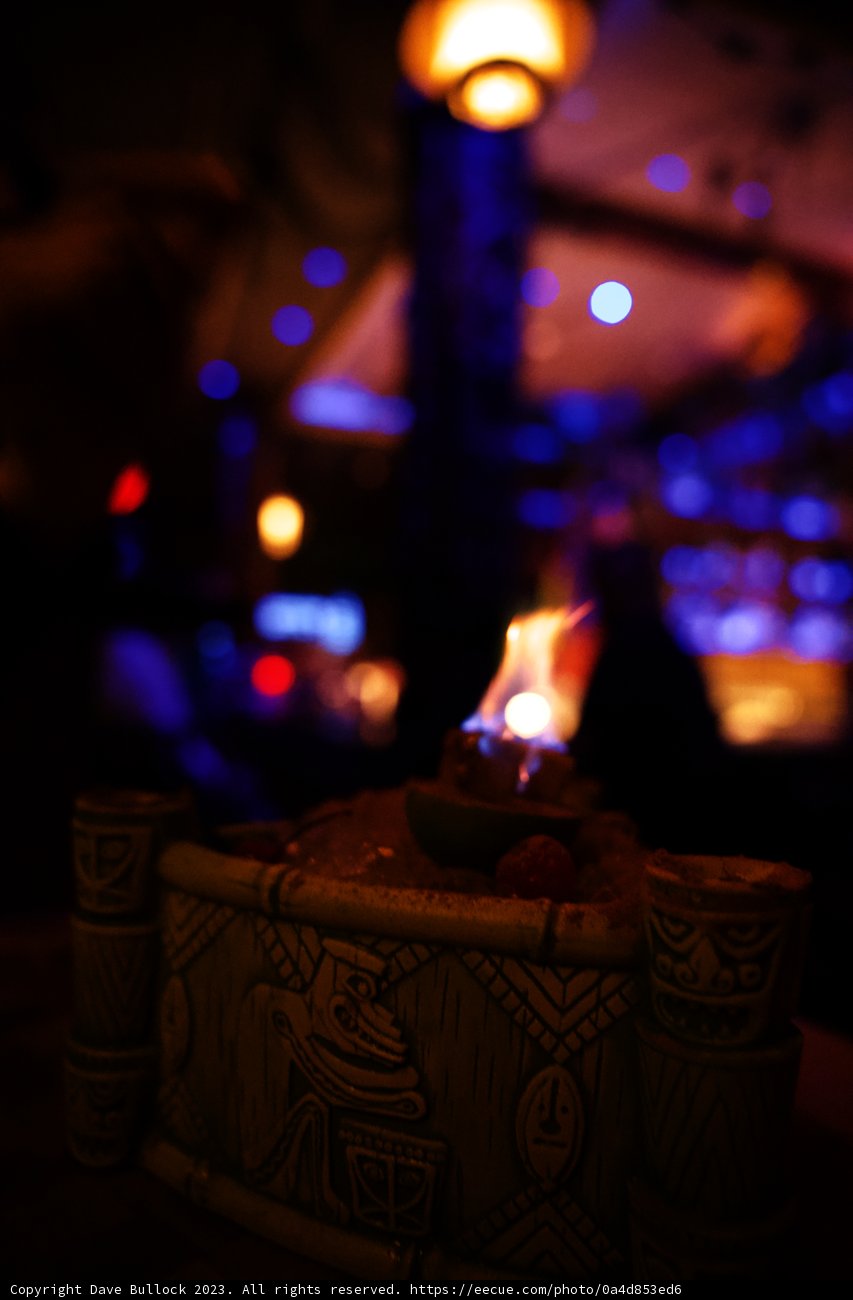 Magical Moments at Disneyland
