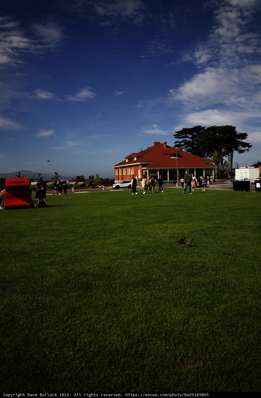 Idyllic Summer Afternoon at the Presidio