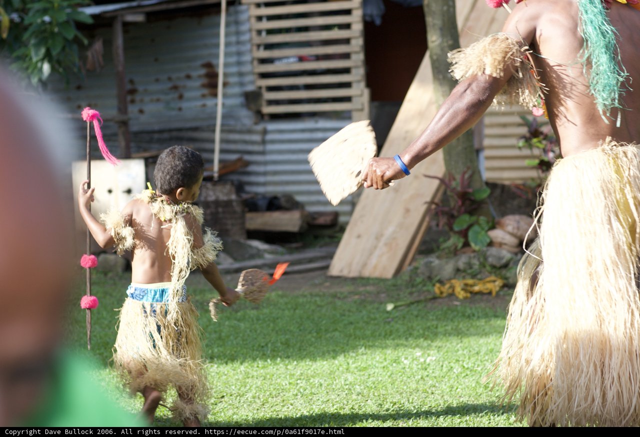 Grass Skirt Hula Performance