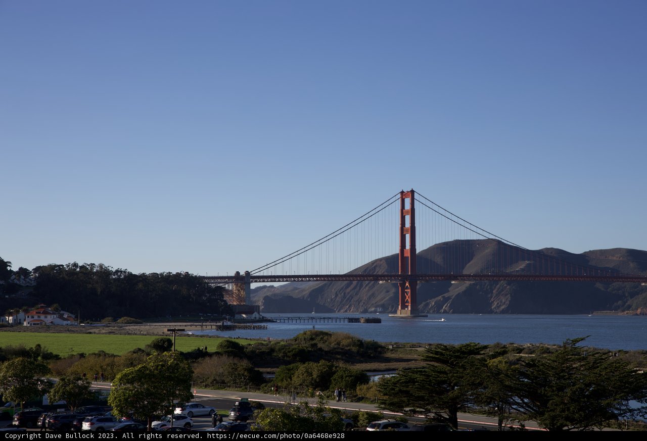 Golden Gate Guardians: A City's Bridge Connecting People and Nature