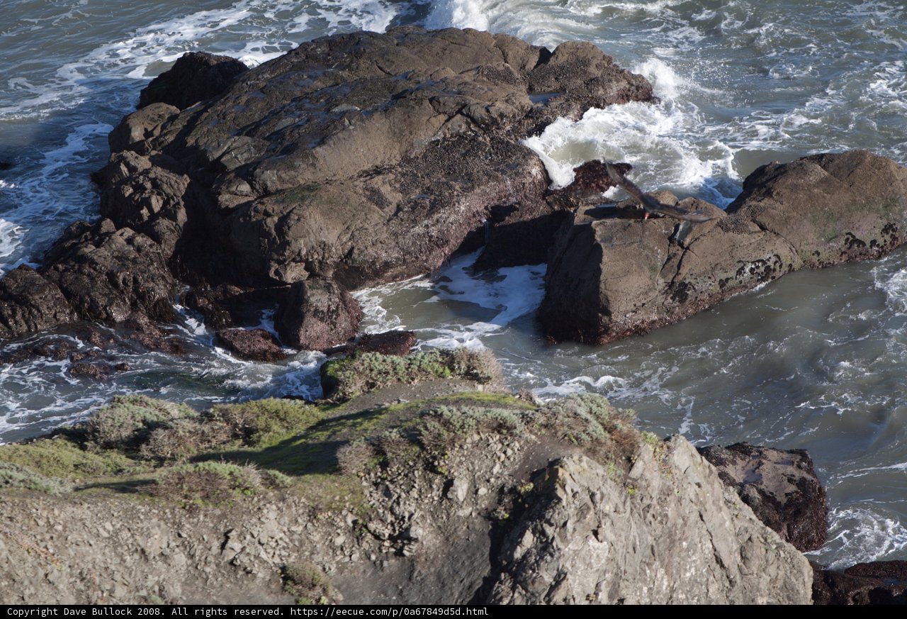 Promontory View of the Majestic Sea