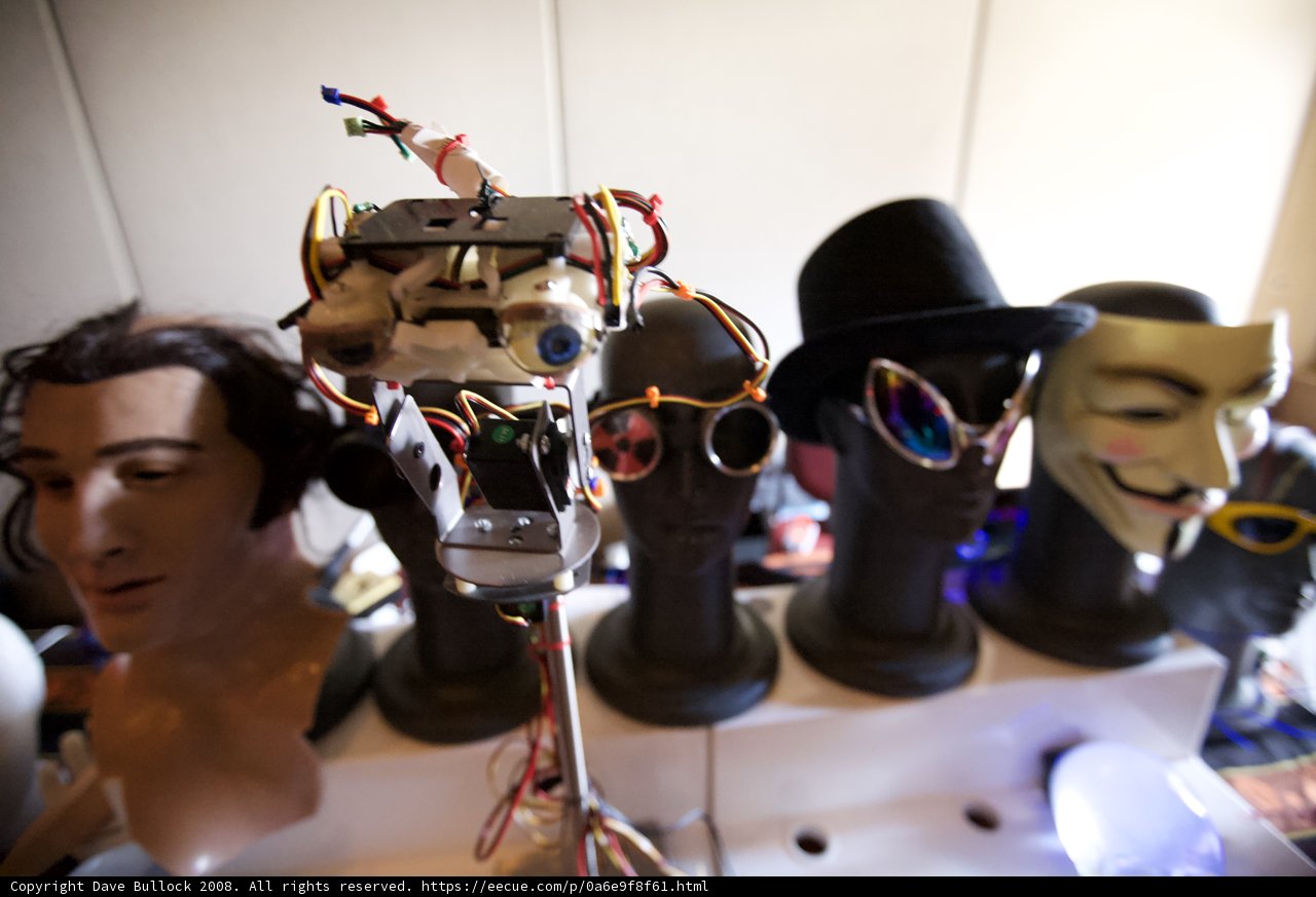 Stylish Mannequins