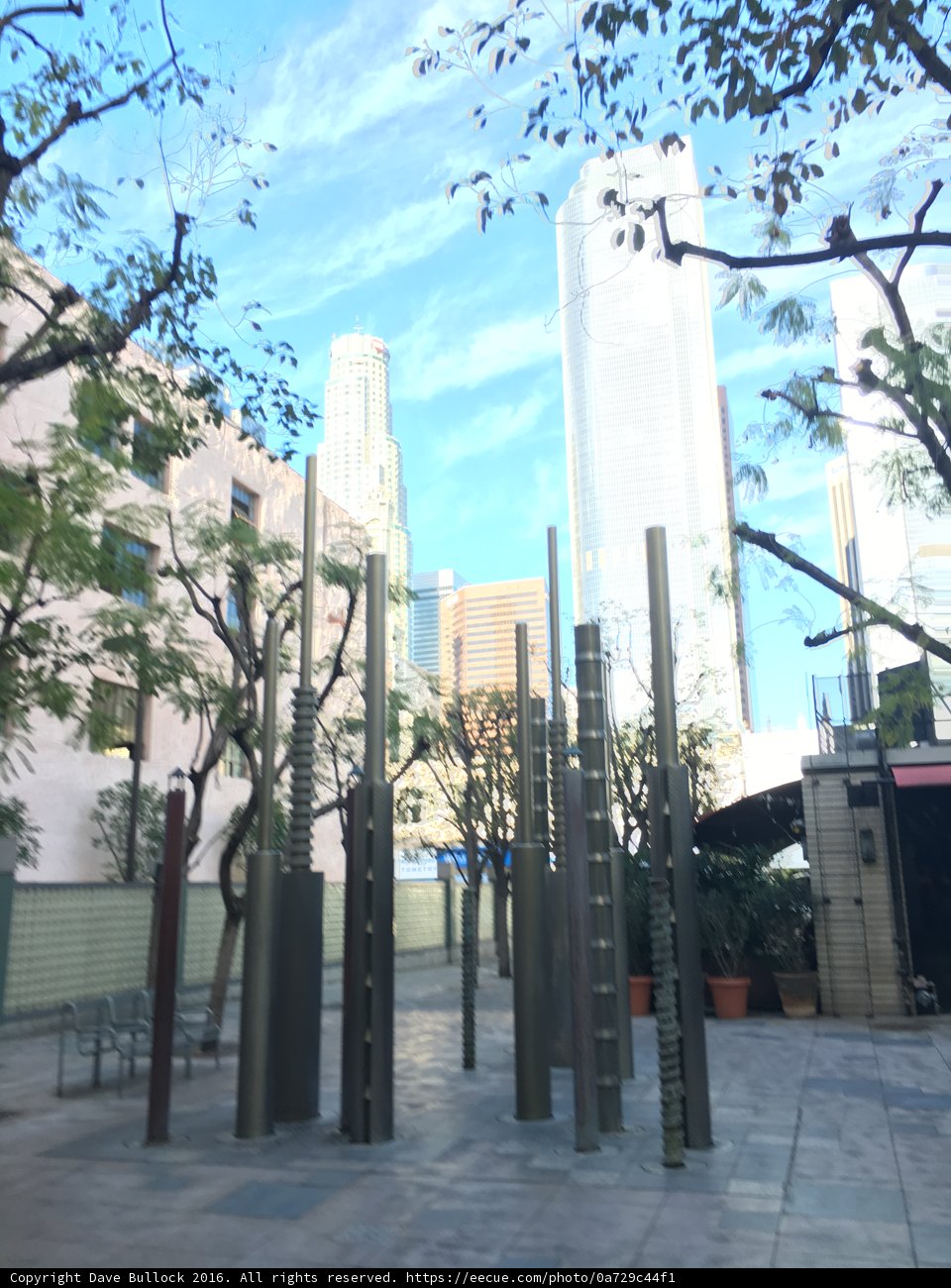Urban Oasis