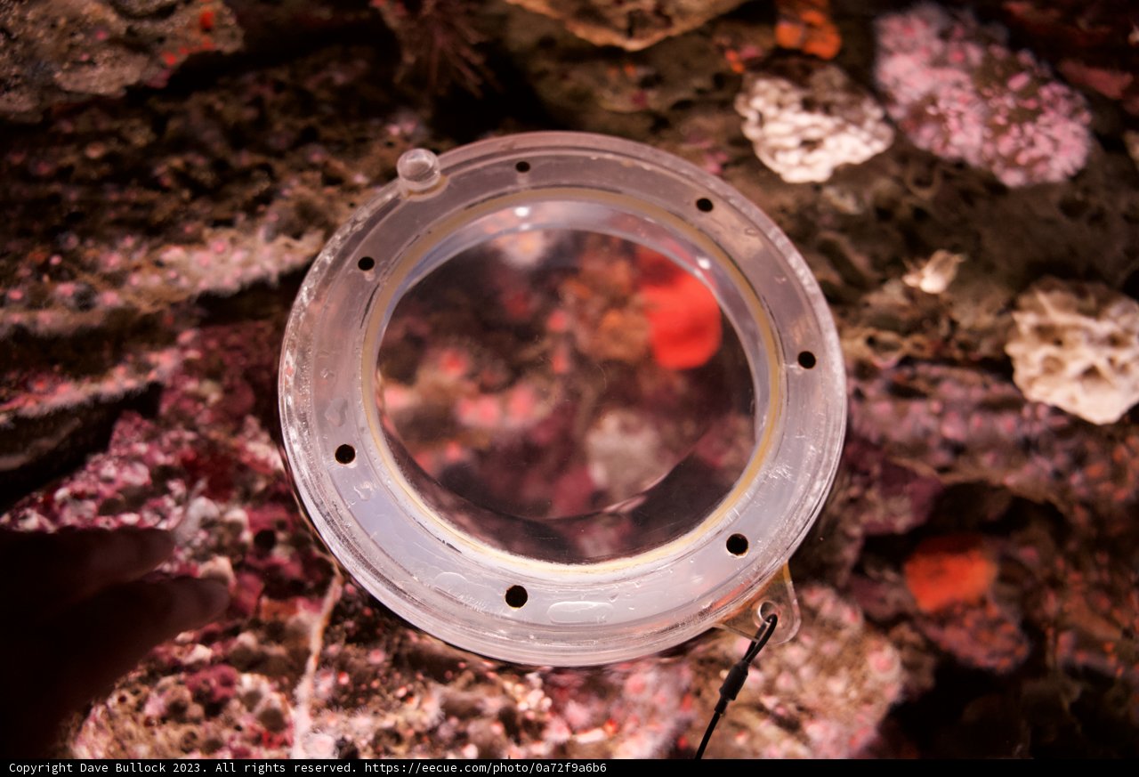 A Portal into the Underwater Realm