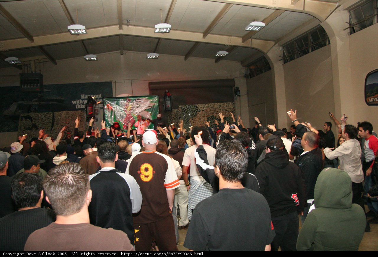 A Vibrant Crowd at an Urban Art Exhibition