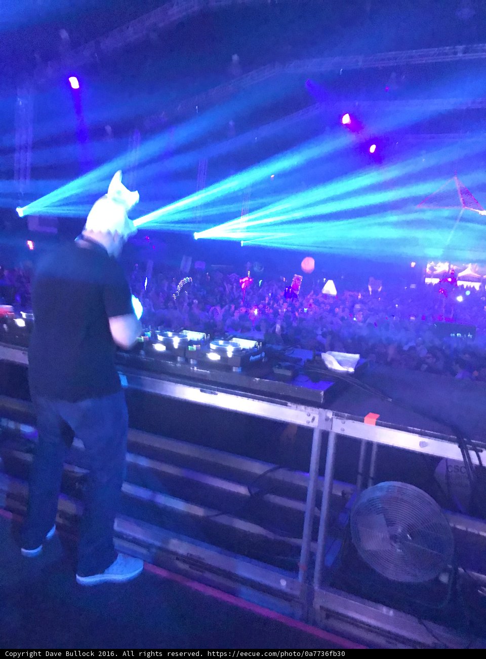 Lights, crowd, action!