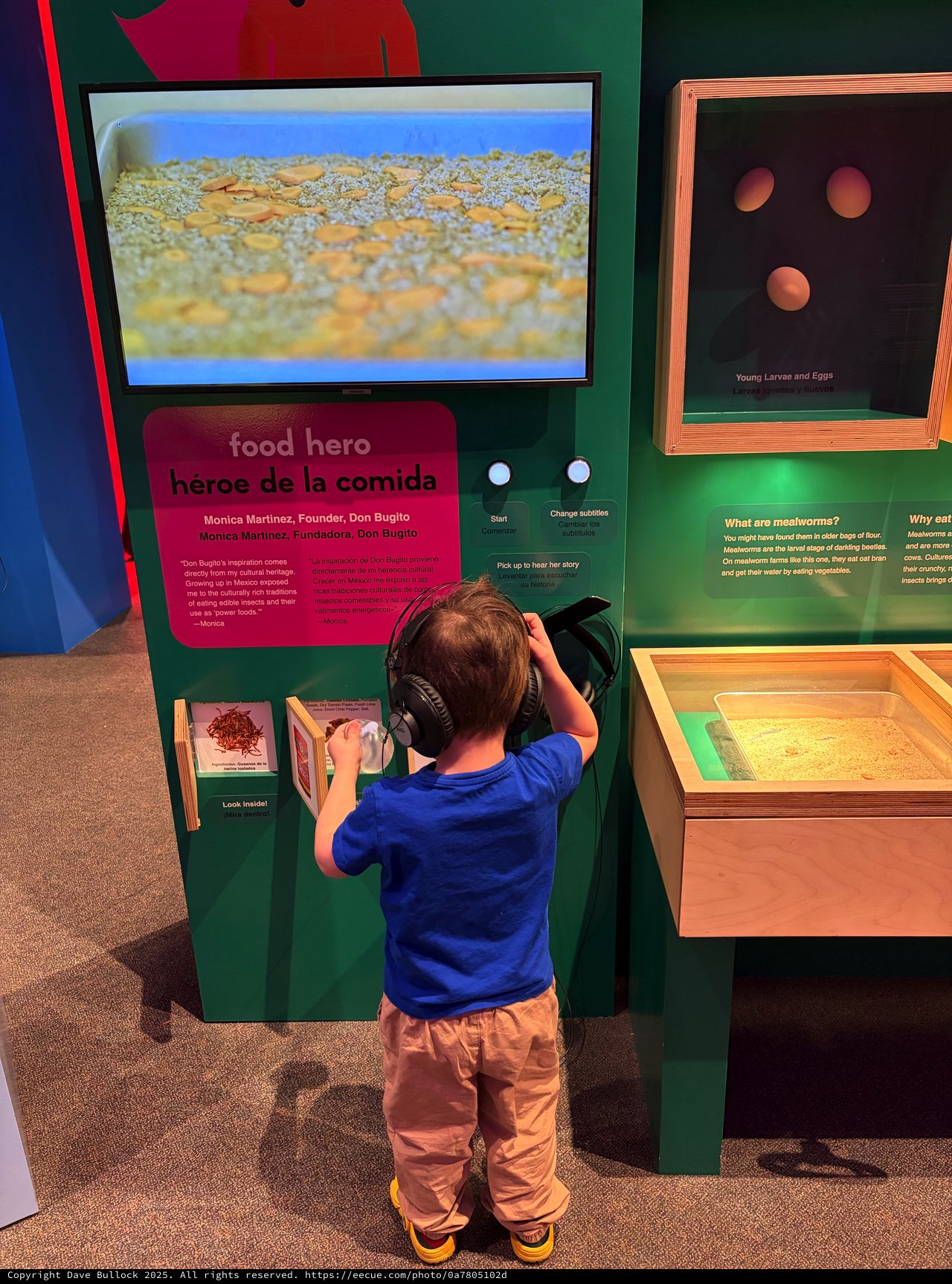 Young Boy Explores Interactive Museum Exhibit with Headphones