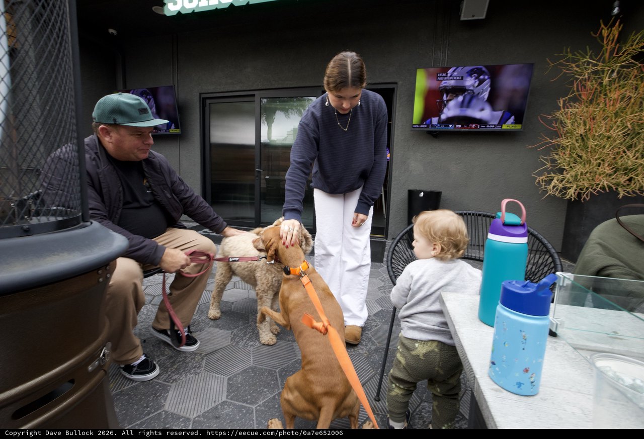 Family Dog Meetup at Modern Coffee Shop Patio
