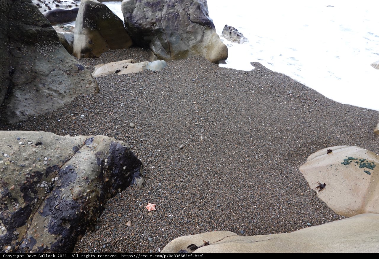 Rock-Studded Beach