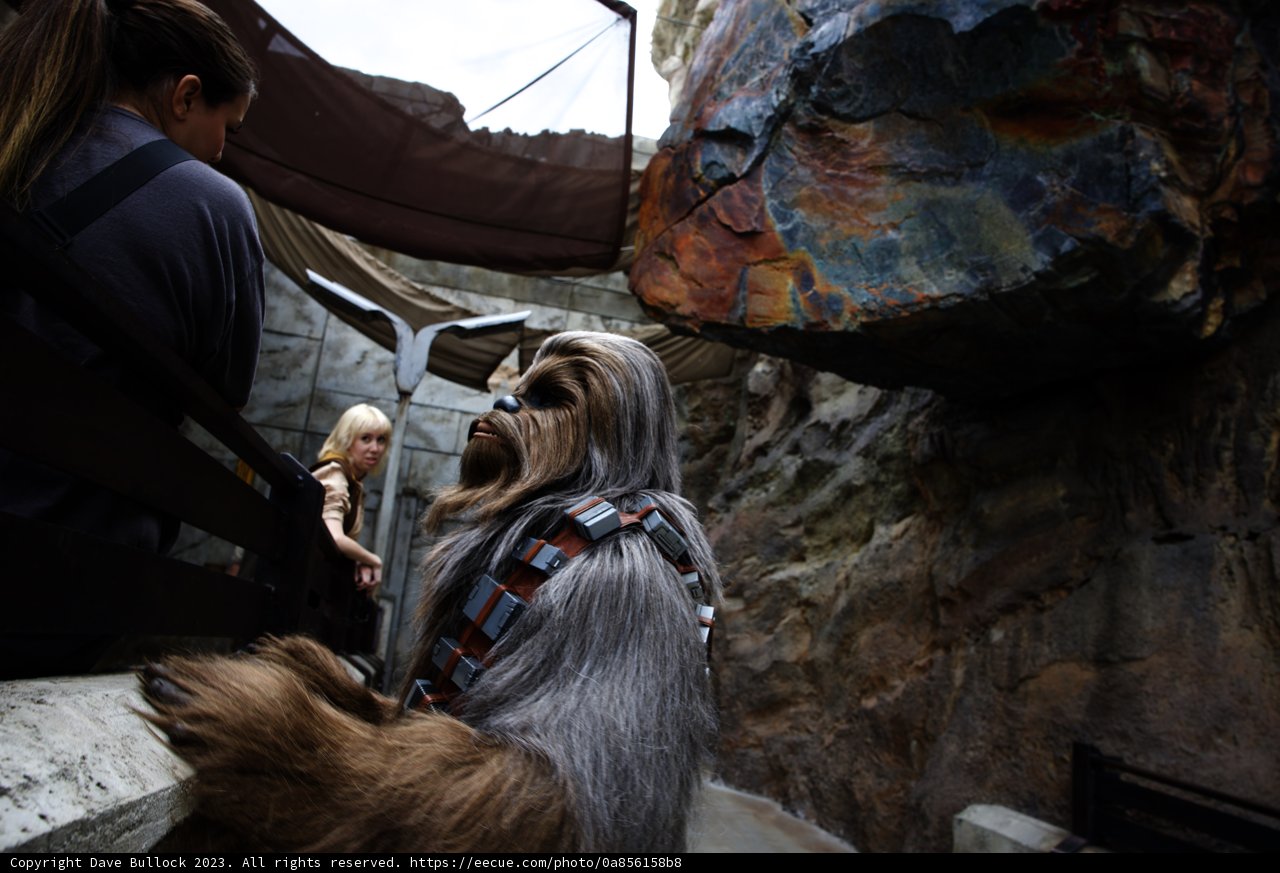 Magical Adventure in Star Wars Land