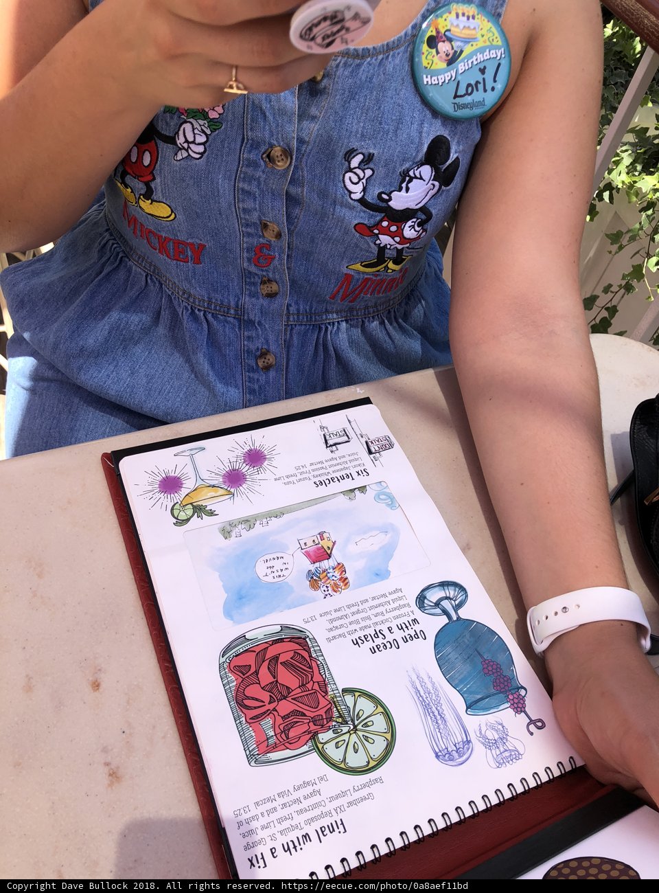 Writer's Retreat at Disney California Adventure Park