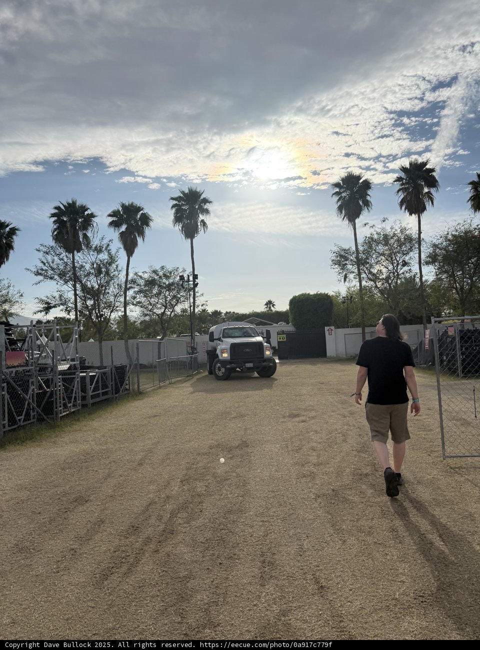 Strolling Under Palm Skies