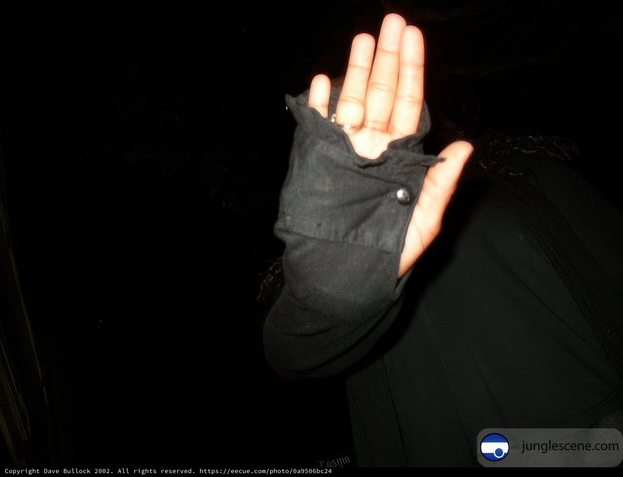 Gloved Hand