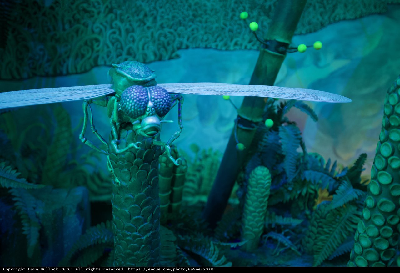 Iridescent Dragonfly Sculpture in Mystical Garden Setting