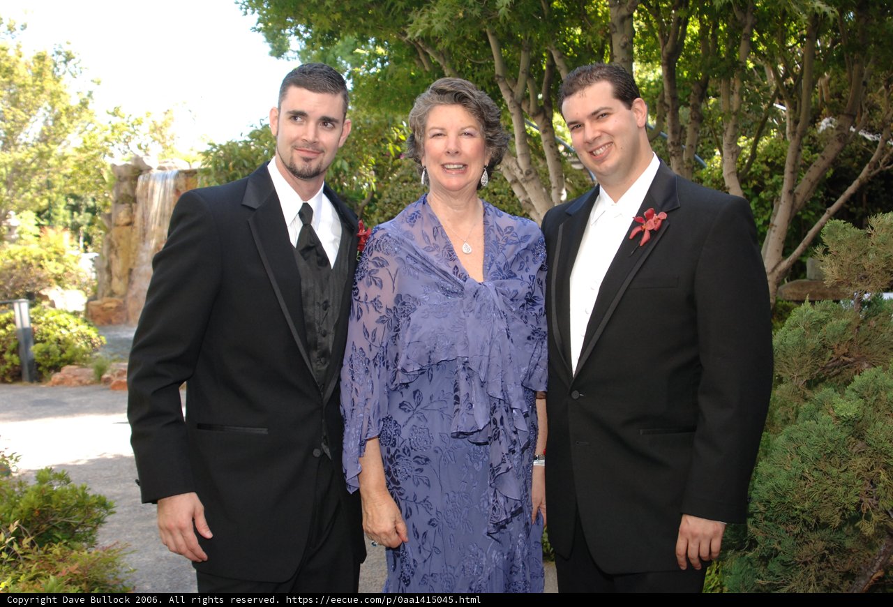 Formal Attire Trio
