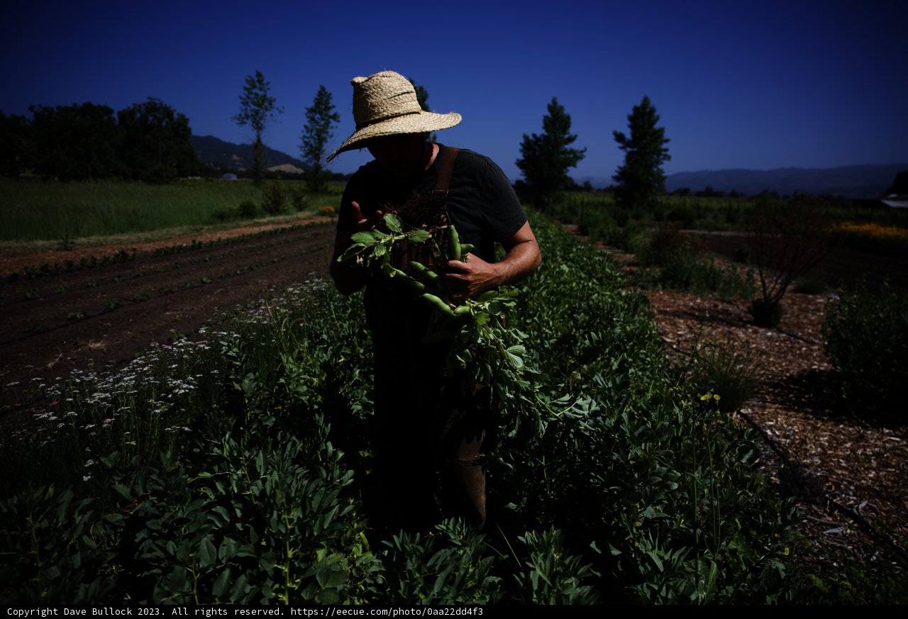 Embracing Nature's Bounty