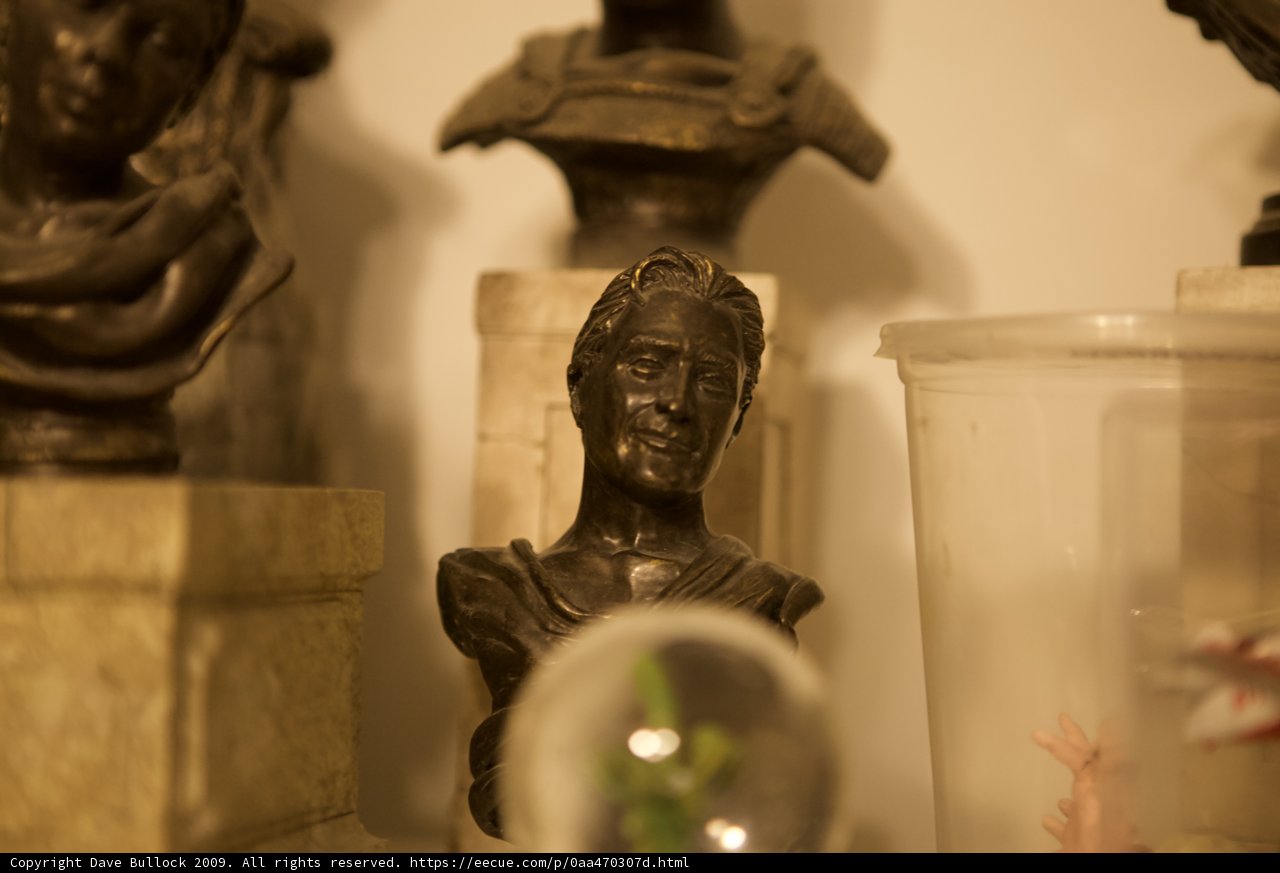 Busts, Artifacts, and Figurines on Display