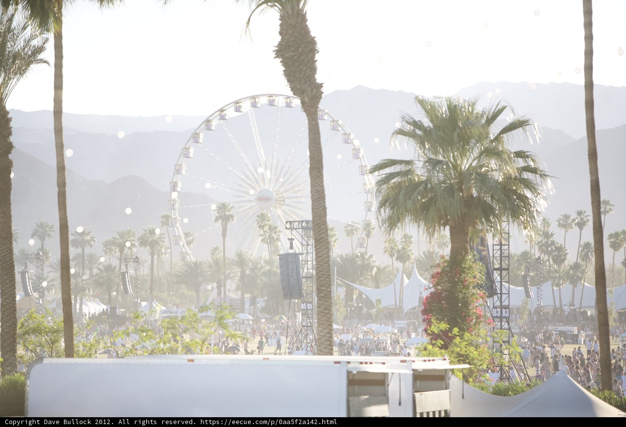 Ferris Wheel Fun at Coachella