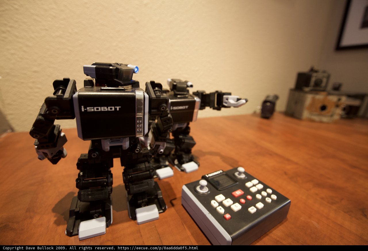 The Wooden Robot