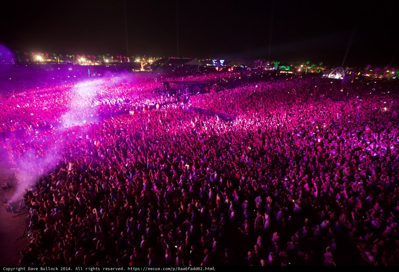 Purple Haze at Coachella